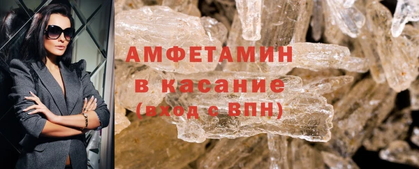 прущие грибы Аркадак