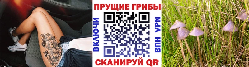 Галлюциногенные грибы ЛСД  блэк спрут ONION  Чайковский 