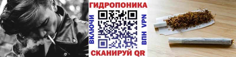 Конопля планчик  Чайковский 